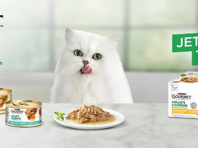 Purina Katzenfutter gratis